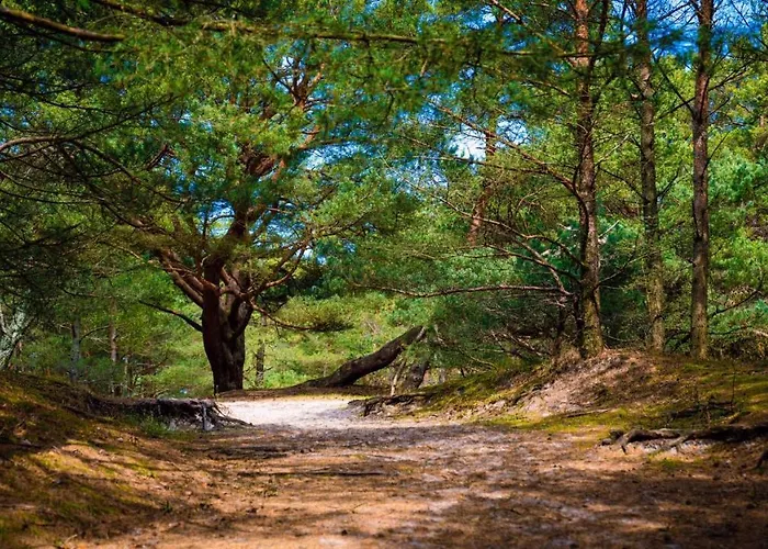 Ośrodek wypoczynkowy Plaza Łeba